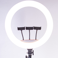 Anneau lumineux professionnel de 10 pouces avec trépied portable 3200k-6500k Soft Video LED Studio Lighting pour la photographie