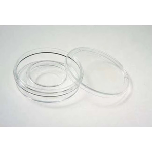 Placa de Cultivo de Superficie TC de 24 Pocillos Nunc, para Proliferación Celular, Tratada, Consumibles Estándar de Laboratorio, Origen China, Suministros de Laboratorio - Product Image 2