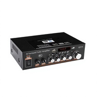 Penguat Digital Cerdas G919 dengan Fitur Built-in /USB/SD/FM Mini Laris untuk Penjualan Lintas Negara Buatan Cina