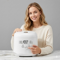 Autocuiseur de riz automatique WT-D04-2.8L 2,8 L 400 W avec fonction riz faible en sucre et contrôle tactile pour usage domestique