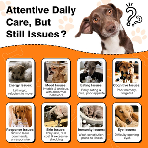 Compléments alimentaires <span class=keywords><strong>pour</strong></span> chiens en forme de bouchées molles multivitaminées <span class=keywords><strong>pour</strong></span> le confort cardiaque, digestif et articulaire, avec probiotiques et taurine - Product Image 5