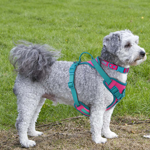 Yeni yayımlanan OEM hayır çekme ön kurşun ayarlanabilir yastıklı köpek demeti açık kolay kontrol evcil hayvan koşumu büyük köpekler için - Product Image 5