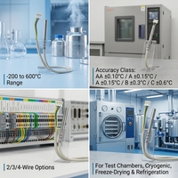 Capteur de température PT100 SR101-2 à diamètre personnalisé 3-6mm, précision 1°C, -200~600°C, 2/3/4 fils pour processus industriels