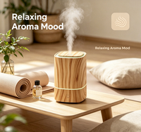 Humidificateur ultrasonique alimenté par USB, mini lampe de nuit LED douce avec aromathérapie, design silencieux et anti-fuite, utilisation domestique et automobile