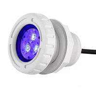 Mini ampoules 6/10W IP68 ABS 12V blanc chaud avec télécommande pour piscines, escaliers et marches, usage extérieur hôtelier