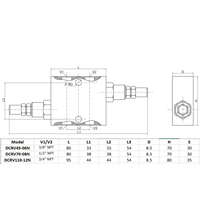 Vanne de commande directionnelle hydraulique double croisée YK VAU-G3/8, 250 bars, débit 30 L/MIN, garantie 1 an