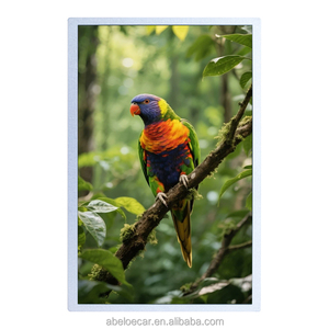 โมดูลจอแสดงผล Innolux 10.1 นิ้ว รุ่น G101ICE-L01/L03/LH1 TFT LCD ความละเอียด 1280x800 WXGA 500 nits LVDS สำหรับจอแสดงผลอุตสาหกรรมและการประมวลผลข้อมูลอุตสาหกรรม - Product Image 2