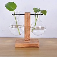 Vase en verre borosilicate de haute qualité, micro-paysage hydroponique créatif, support de fleurs, décoration, bonsaï charnu