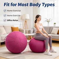 Housse de protection antidérapante pour ballon de yoga de 65 cm, en tissu lavable, avec poignée, pour Pilates et entraînement à domicile