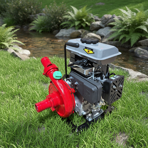 Pompe à eau en fonte 3HP WP15 à essence, entrée 40mm, <span class=keywords><strong>d</strong></span>ébit 15m³/h, aspiration 9m pour puits profonds, agriculture Vietnam Philippines - Product Image 1