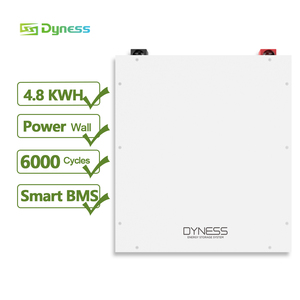 Dyness A48100 Hot Verkoop Muur Gemonteerd 48V 100ah <span class=keywords><strong>Lifepo4</strong></span> Batterij 6000 Cyclus 90% Dod 5kwh Lithium Ion Batterij Powerwall Home Batterij