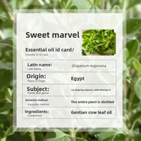Huiles essentielles de marjolaine douce 100% pures et naturelles (Origanum majorana) pour l'aromathérapie, les soins de la peau, les diffuseurs et les massages corporels.