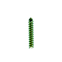 Vis de blocage orthopédique auto-taraudeuse AO 2,0 mm en titane pour instrument chirurgical vétérinaire, accessoire d'outil électrique