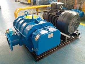 소형 공압 컨베이어 트윈 로브 뿌리 송풍기 직접 커플 링 좋은 판매 고풍력 발전소 공장 가격 에어 로터리 송풍기 - Product Image 6