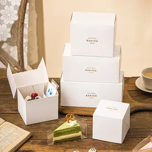 Grosir Tas Kertas Kustom Kotak Kue Persegi Set Kemasan Cupcake Kotak Hadiah dengan Pegangan
