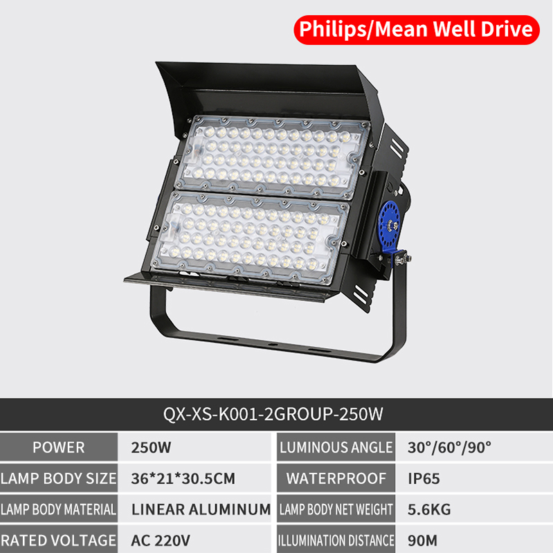 250W-Philips/Mean Well Drive
