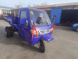 Triciclo Diesel per Lavori Pesanti - Veicolo per il Trasporto di Sabbia e Terreno per Progetti di Ingegneria - Product Image 4