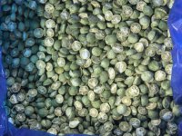 Fabriekslevering FD Watergeconserveerde Gesneden Groene/Gele Kumquat 100% Verse Fruitthee Zure Smaak Openluchtgekweekt