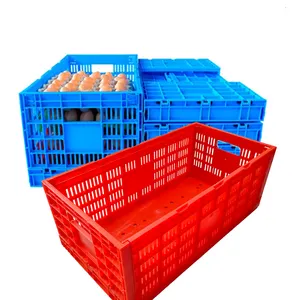 Pp Plastic Hollow Box Turnover Box Collapsible Crates Eggs Bread Crates Plastic For Chicken Eggs Transport