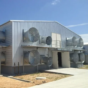 Edificio Prefabbricato Minimalista in Acciaio Leggero Zincato per Allevamento di Pollame e Uffici con Garanzia di 5 Anni - Product Image 5
