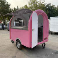 Cuisine mobile complète en fer pour camion de restauration, chariot à hot-dogs, remorque alimentaire, extérieur