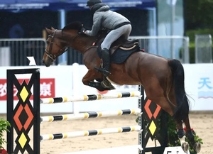 Kit Profesional de Obstáculos para Salto Ecuestre con Estructuras Resistentes y Barandillas Brillantes para Clubes Ecuestres y Arenas - Product Image 6