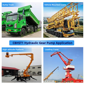 משאבת הידראולית HYVA CBHST1 למשאבות הידראוליות כבדות בלחץ גבוה 120 סמ\\\"ק 100 סמ\\\"ק של בלינס, משאבת הילוכים הידראולית למשאיות עפר. - Product Image 5