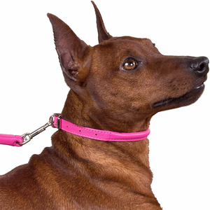 Ensemble collier et laisse pour chien en cuir souple tailles réglables élégant et durable entraînement à la marche pour animaux de compagnie collier de chien fait à la main en cuir - Product Image 2