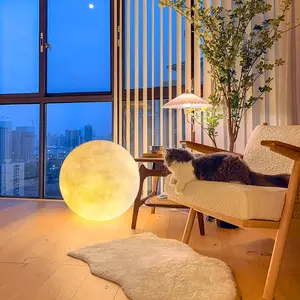 Led Floor Moon Lamp Ins Resin Lamp Home Decor Living Room Courtyard 3D Moon Floor Night Light