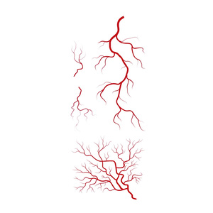 Relámpago rojo colorido tatuajes temporales pegatina estilo de moda <span class=keywords><strong>tatuaje</strong></span> impermeable adecuado para Abdomen <span class=keywords><strong>brazo</strong></span> pierna <span class=keywords><strong>y</strong></span> <span class=keywords><strong>pecho</strong></span> - Product Image 6