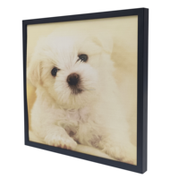 6pcs PACK Carré Restickable Aucun Dommage Carrelage Photo pour Décoration Murale