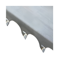 Lame de scie à ruban en carbure EJ Woodworking, dents affûtées, finition blanche, pour scie à portique verticale et horizontale, bois dur, acajou, pin, sur mesure