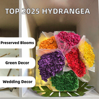Bunga Hydrangea Asli Awet Bentuk Bulat 50-60cm, Diolah dengan Gliserin, Dekorasi Bunga Abadi untuk Pernikahan dan Rumah