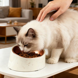 Bol pour animaux de compagnie incliné et surélevé ergonomique avec base antidérapante, motif uni, matériau en mélamine de qualité alimentaire pour chiens et chats - Product Image 1