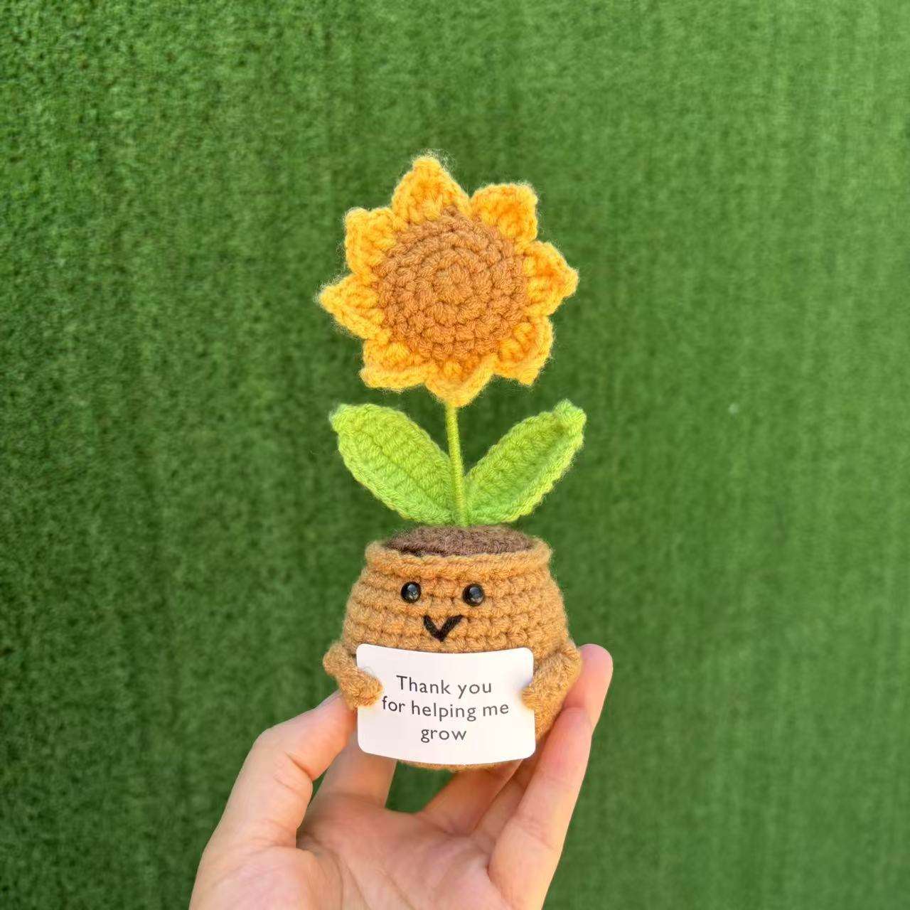 Plante en pot tournesol jaune