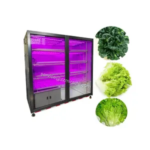 Hydrocultuur Sla Vegetable Groeiende Container/Hydrocultuur Plastic Nft Lade Sla Teeltsysteem