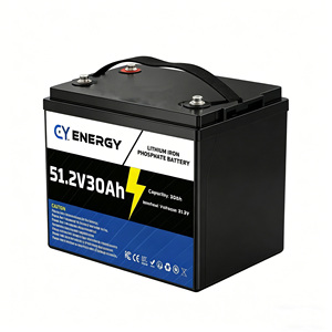 แบตเตอรี่ลิเธียมไอรอนฟอสเฟต 51.2V 50Ah 1536Wh 4000 รอบการใช้งาน สำหรับรถกอล์ฟ ระบบสำรองไฟ และพลังงานแสงอาทิตย์แบบออฟกริด - Product Image 1