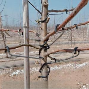 Clip AD en acier galvanisé pour les vignes de fruits Fixation de la position verticale Le fil de tuteur empêche fermement le mouvement sous la vigne de couper - Product Image 5