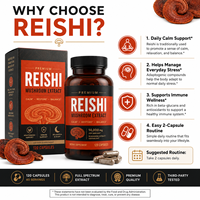 14000mg Hoogwaardig Reishi Paddenstoel Extract Ganoderma Lucidum met 400mg Beta-Glucanen 120 Capsules Immuunondersteuning Bulk OEM