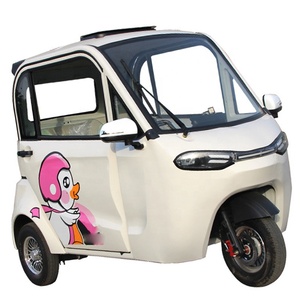 Tricycle électrique fermé à faible prix, pousse-pousse, chariot alimentaire, pousse-pousse motorisé - Product Image 3