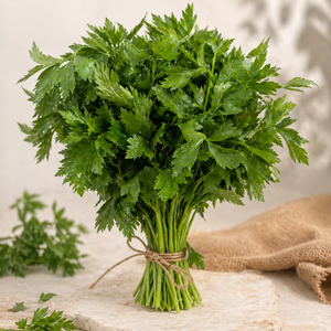 Hojas de Apio Rojo Crudo de la Mejor Calidad, Provenientes de Sulawesi, Indonesia, en Paquete a Granel de 0.5 kg, para Cocinar o Cualquier Otro Uso - Product Image 1