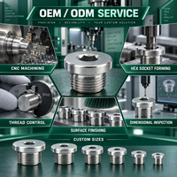 Bouchon de vidange hexagonal interne sur mesure à filetage mâle flangé pour tuyau de boîte de vitesses hydraulique, OEM personnalisé