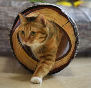 Heyri Pet petit chat Tunnel pliable arbre trou guinée extérieur chaton jouets chat Tunnel jouet mignon feutre interactif chat Tunnel lit - Product Image 6
