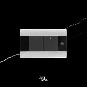 आर्ट 118 प्रकार घरेलू अमेरिकी दीवार घुड़सवार 2 गिरोह 250v पीसी पावर लाइट एलईडी संकेतक मॉड्यूल के साथ - Product Image 2