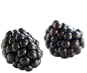 Mûres séchées de <span class=keywords><strong>nouveaux</strong></span> fruits naturels de mûre déshydratée pour la nourriture - Product Image 4