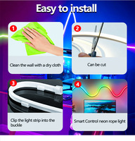 Lampu Strip LED Neon Fleksibel RGBIC RGB Pintar Tahan Air IP67 12V Hitam Fredligting Custom Factory Addressable Silicone