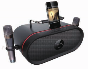 RHM RM-K666 Wireless Outdoor Speakers Music System Karaoke Audio