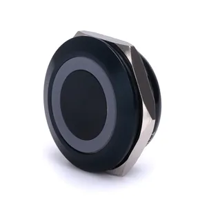 25mm Ultrathin Short Body Stainless Steel Flat Round Ring Illuminated Metal Led Light Momentary 12V Button Switch