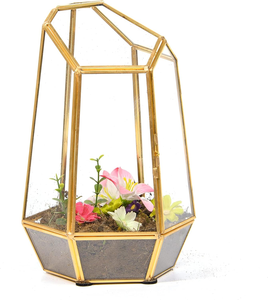 Einzigartiges Art-Deco-Design-Glaster rarium für Pflanzen Eintüriges Ökosystem-Display für Hochzeits-Innen-Tisch dekoration - Product Image 3