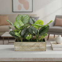 Pohon Calathea Orbifolia Buatan 43cm 26 Daun PE Terasa Lembut Plastik Ramah Lingkungan untuk Dekorasi Ulang Tahun